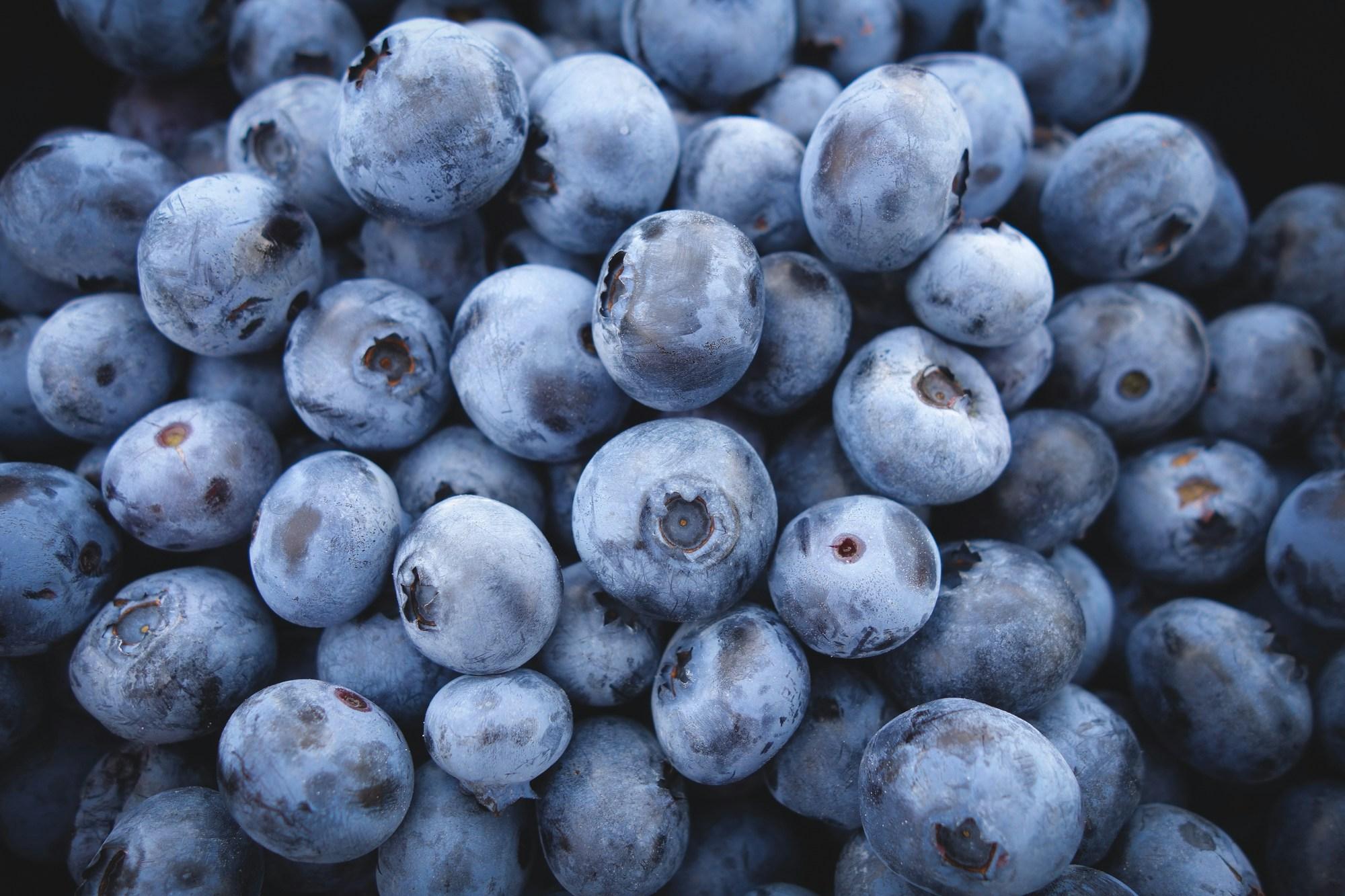 Fresh blueberries, rich in antioxidants.