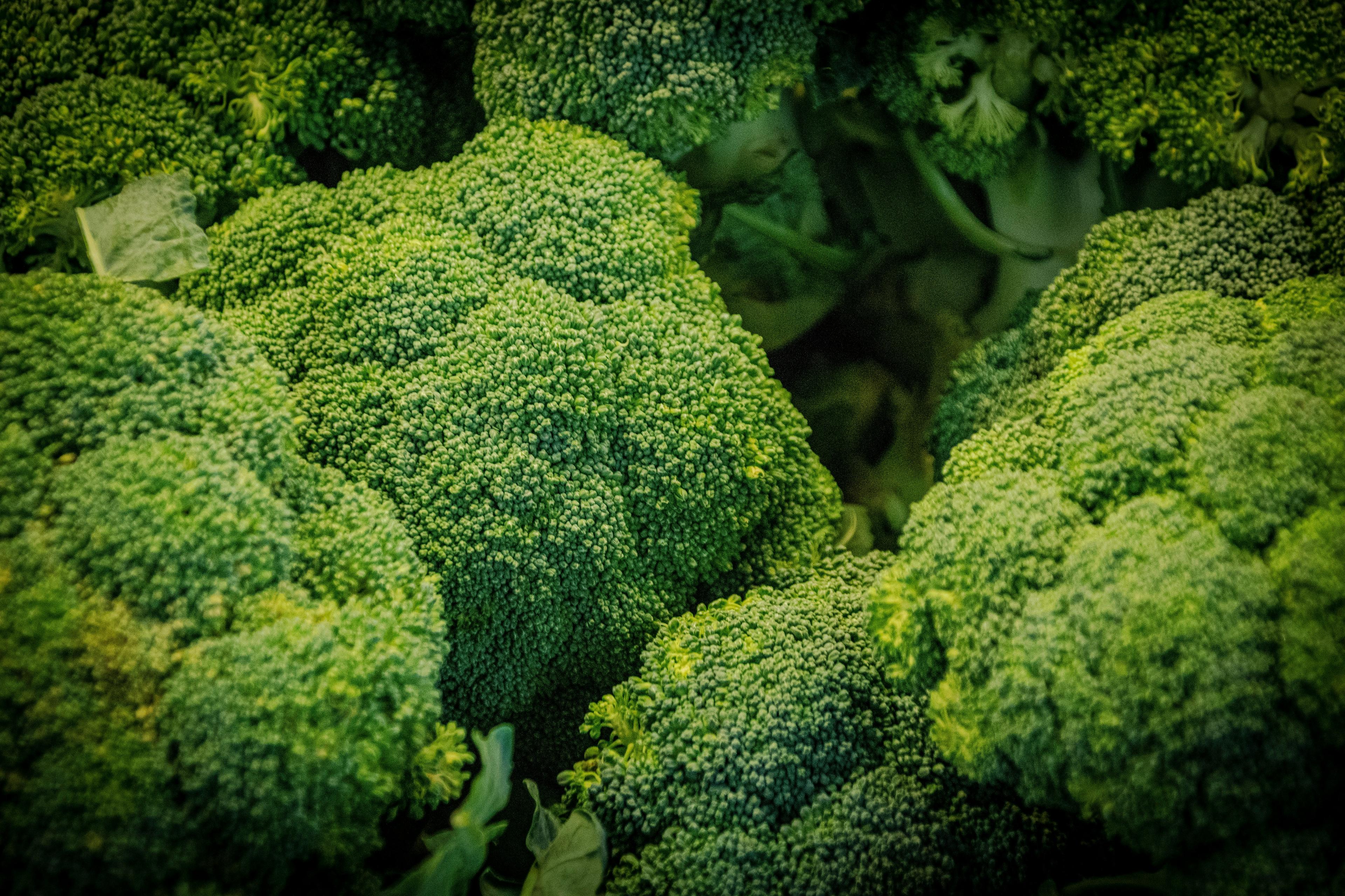 Green and healthy broccoli florets