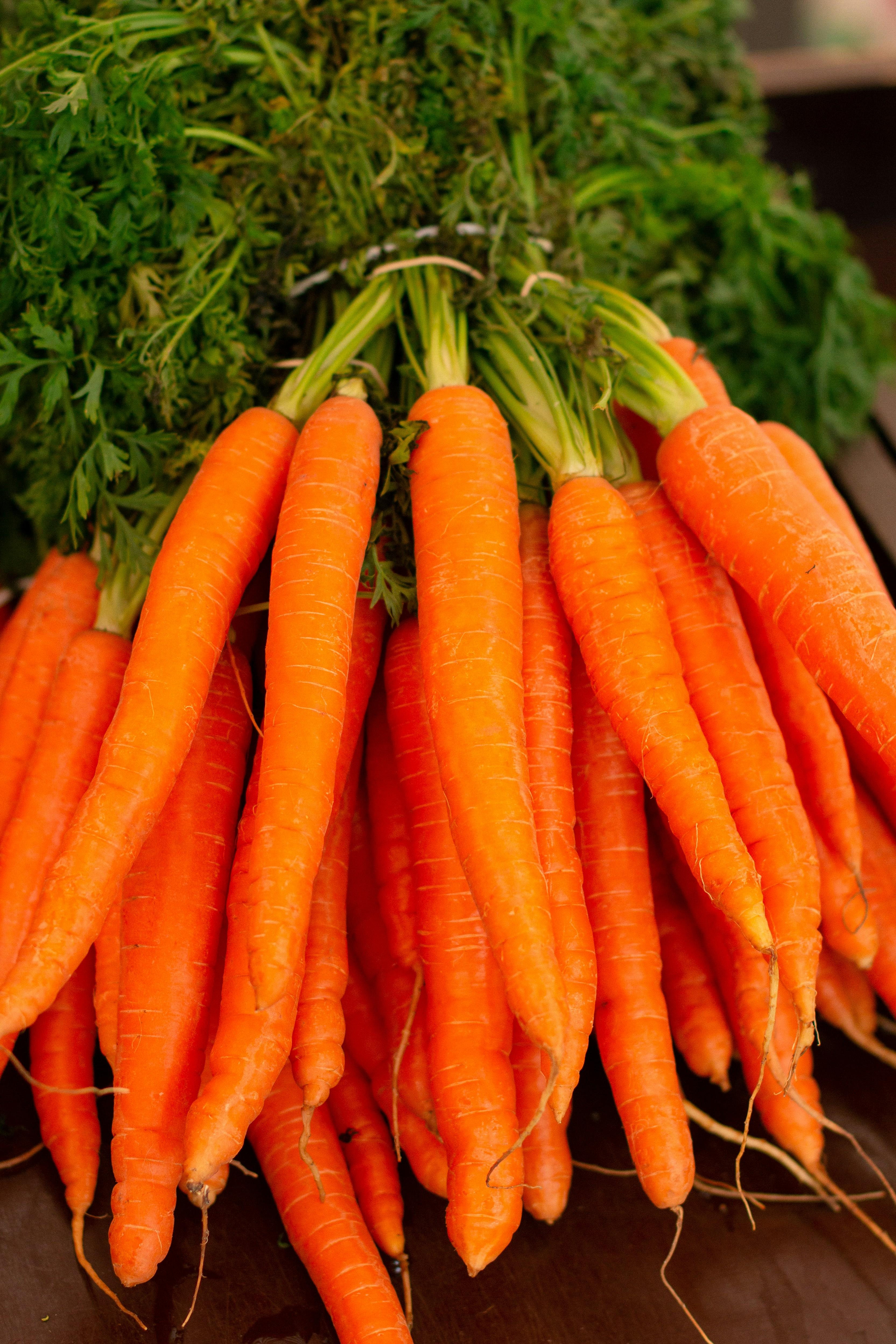 Organic carrots, rich in beta-carotene.