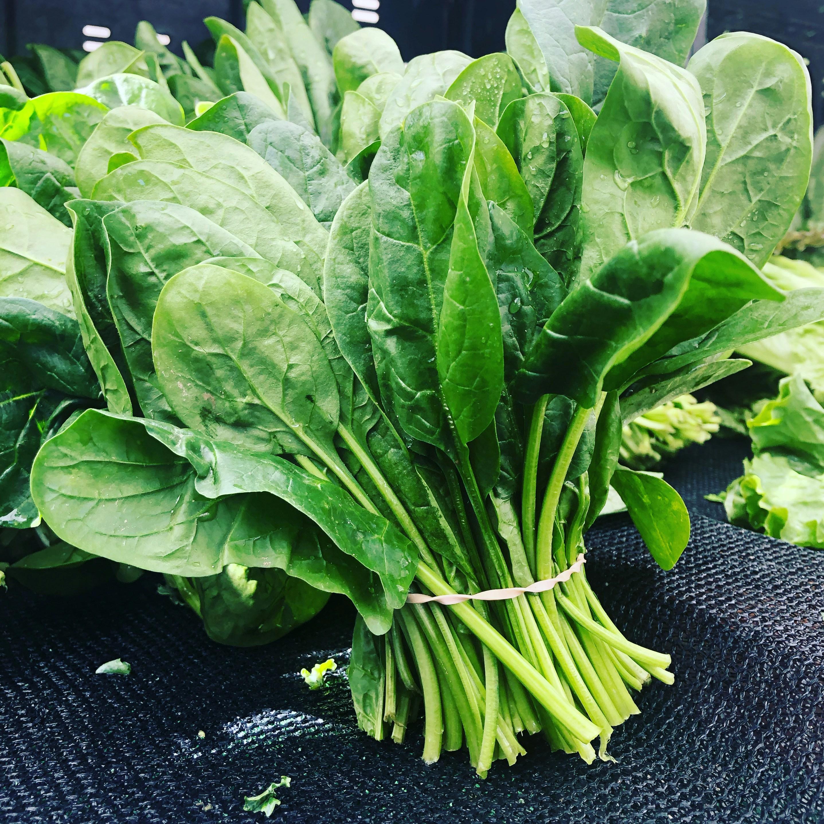 Fresh spinach leaves