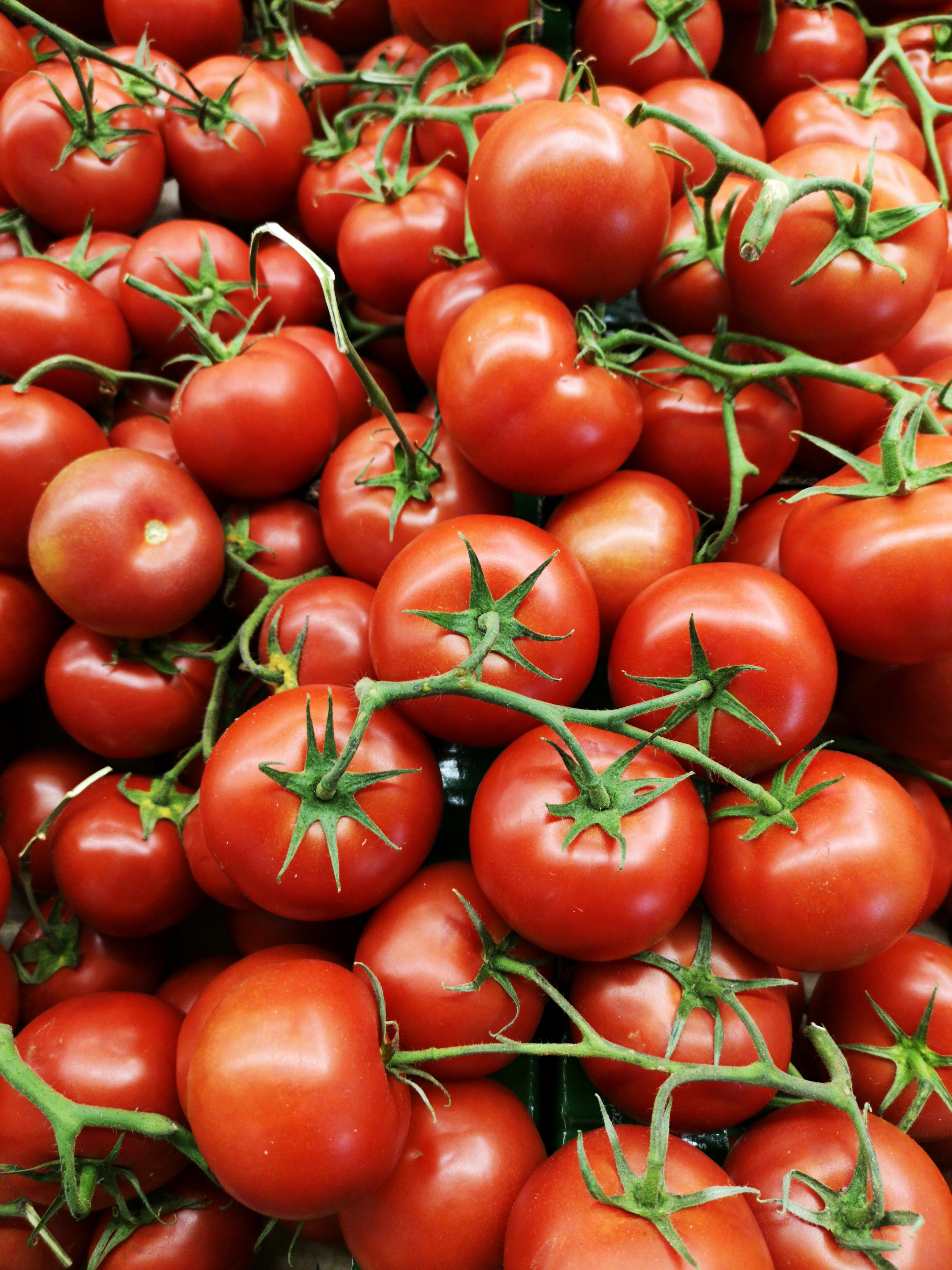 Juicy and ripe tomatoes, perfect for salads.
