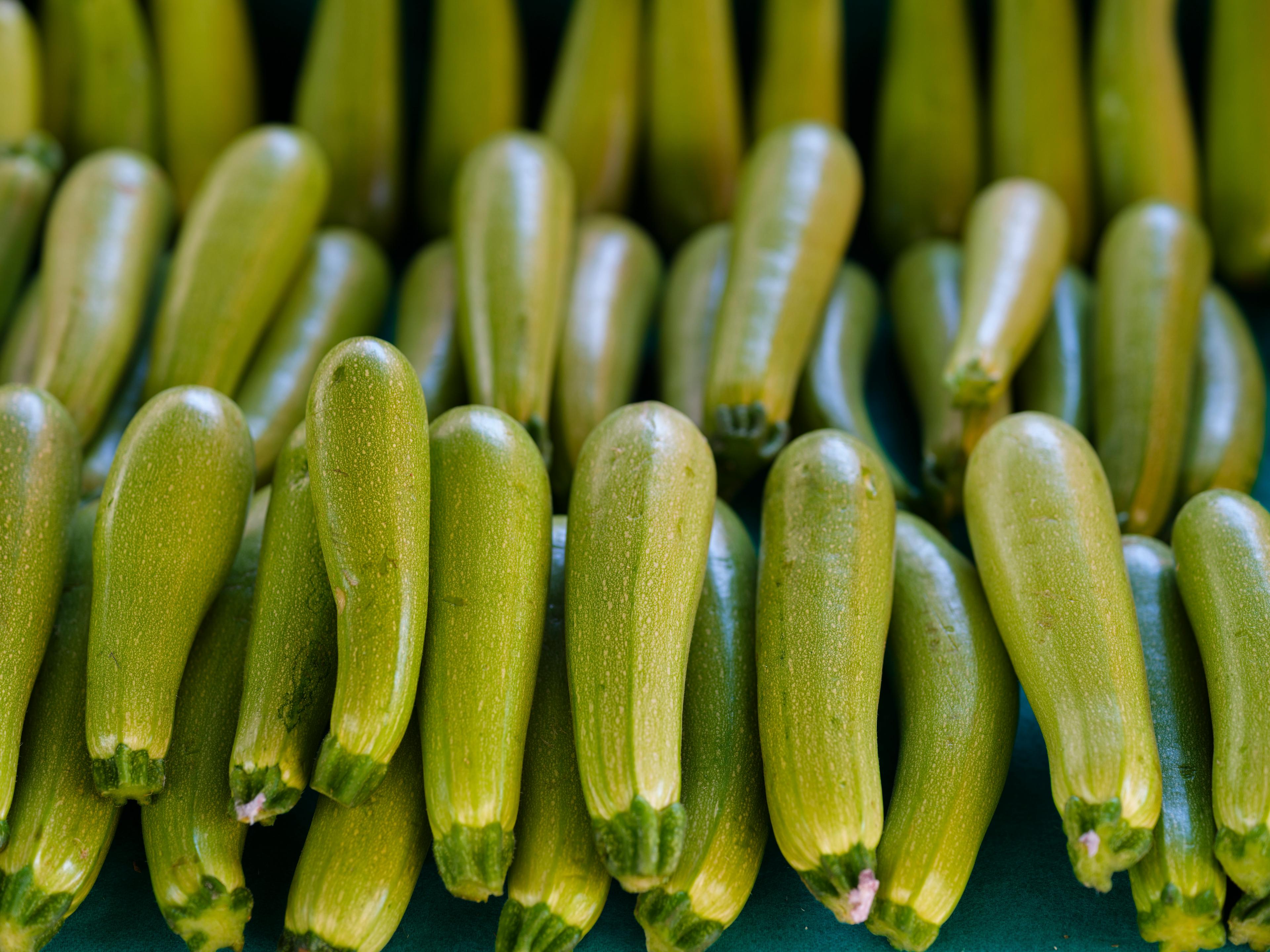 Fresh zucchini, perfect for grilling.